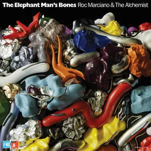The elephant man's bones